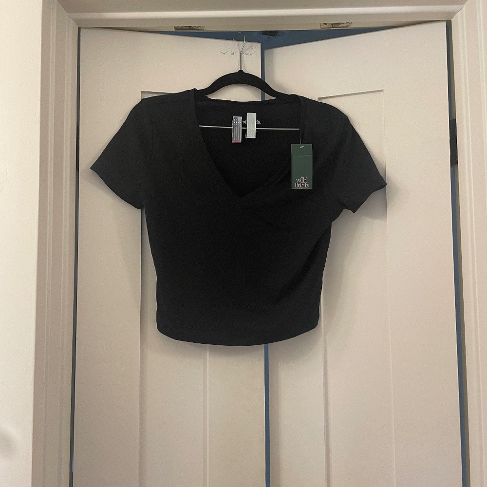 Wild Fable V-neck Cropped Tee